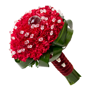  .     . Belflower -    .     .